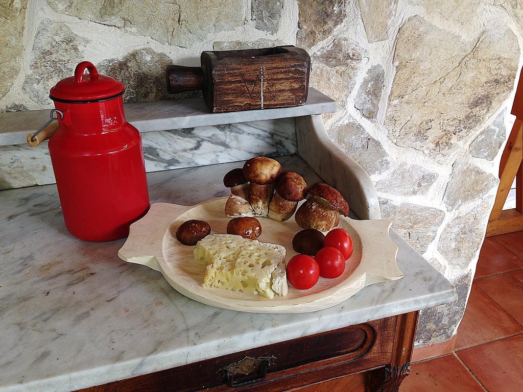 Gasthaus Maria Borlova ภายนอก รูปภาพ