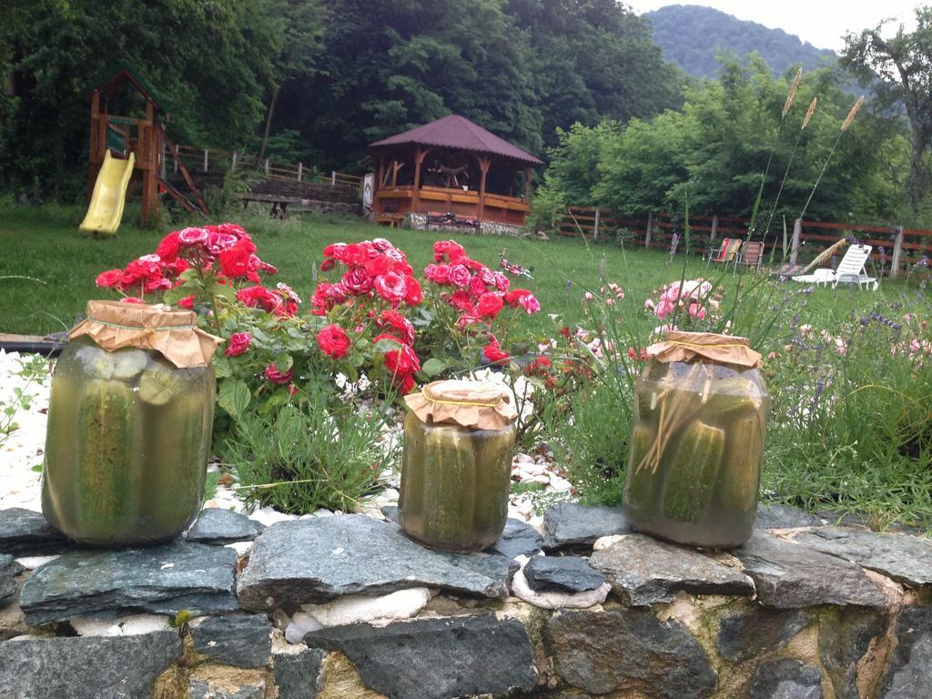 Gasthaus Maria Borlova ภายนอก รูปภาพ