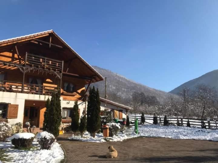 Gasthaus Maria Borlova ภายนอก รูปภาพ
