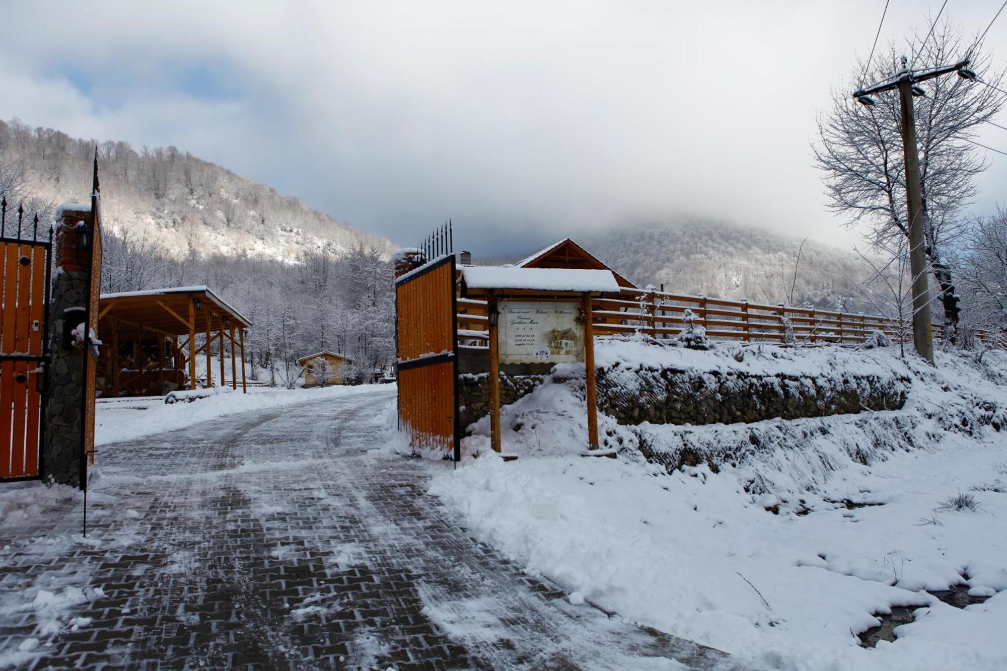 Gasthaus Maria Borlova ภายนอก รูปภาพ