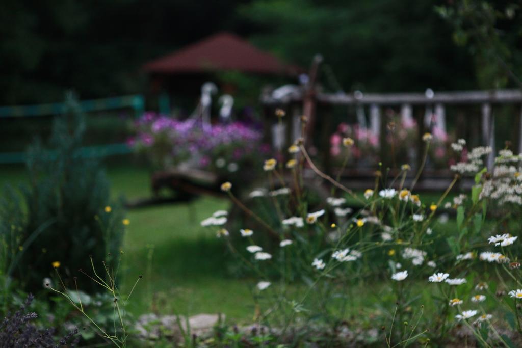 Gasthaus Maria Borlova ภายนอก รูปภาพ