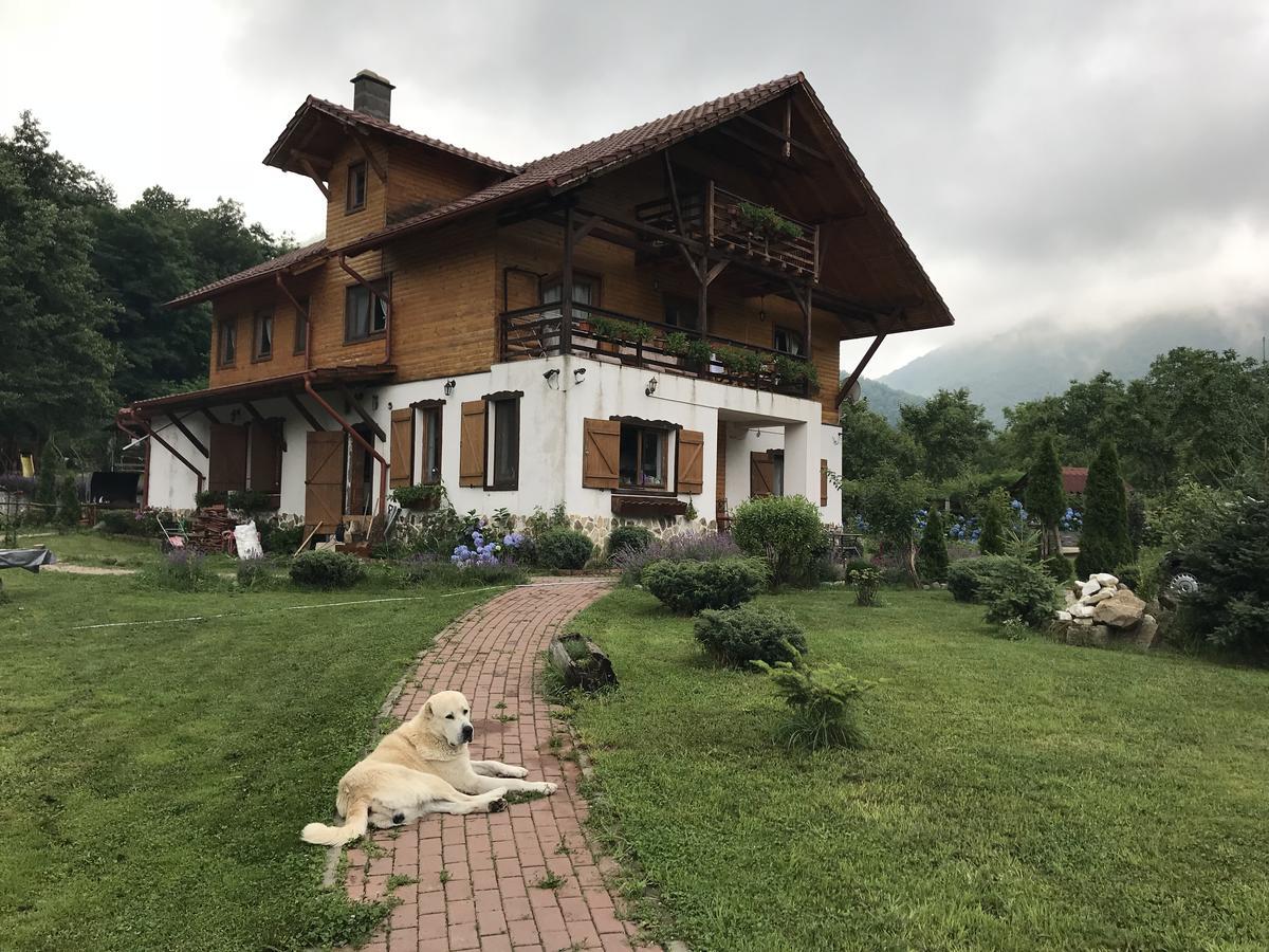 Gasthaus Maria Borlova ภายนอก รูปภาพ